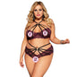 Plus Size See-Through Underwire Bra Two-Piece Set