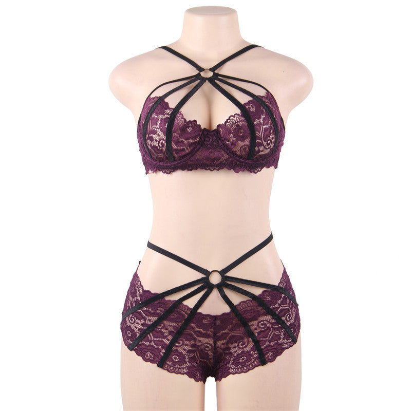 Plus Size See-Through Underwire Bra Two-Piece Set