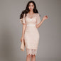 Lace Fashion Bodycon Pencil Dress