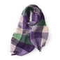 Imitation Cashmere Contrast Color Plaid Tassel Winter Warm Shawl Scarf