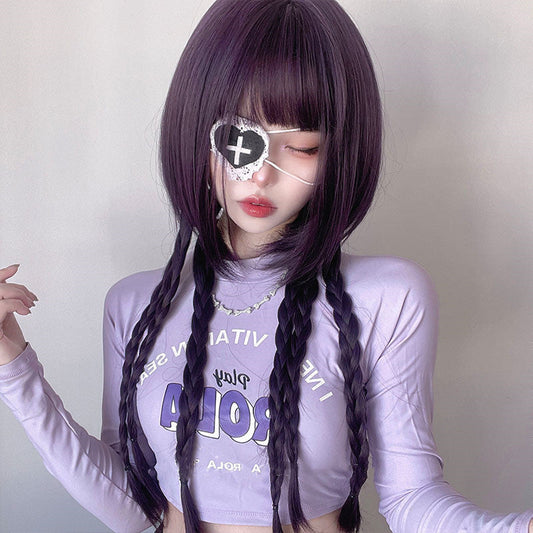 Free Shipping For Hivava Purple Long Straight Wig