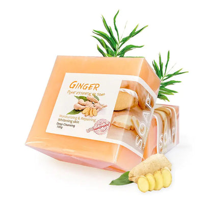 Free Shipping ForPapaya Angelica Ginger Slices Soap