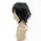 Free Shipping For Hivava 9 Colors Cosplay Harajuku Short Wig 30cm