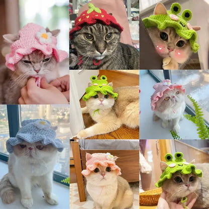 Free Shipping ForCute Refined Pet Hat