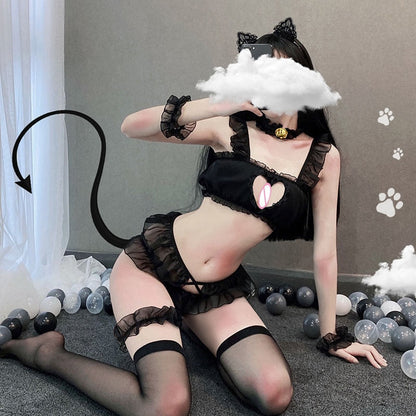 Free Shipping For Cat Lingerie