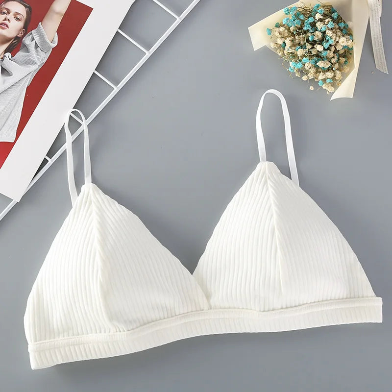 Simple Solid Push-Up Bralette - Cotton, Seamless, Wire-Free