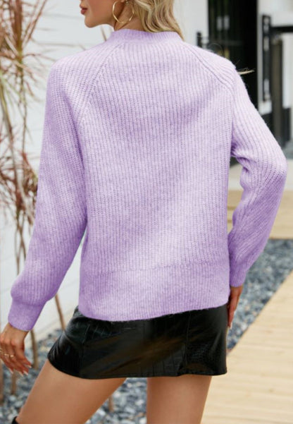 Solid Color Cozy Knit Sweater