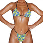 European and American Women's INS-Style Bikini Hot Spring Split Swimsuit