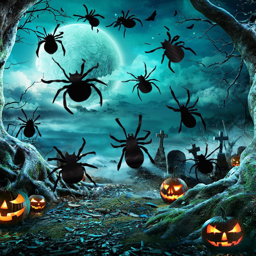 Black Spider Party Decoration Holiday Props