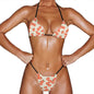 European and American Women's INS-Style Bikini Hot Spring Split Swimsuit