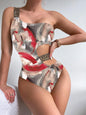 New Version of V-neck Silk Netted Brassiere and Full-Body Swimsuit-homeunderwear