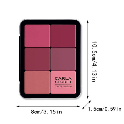 12-Color Iron Box Blush Palette - Matte Finish