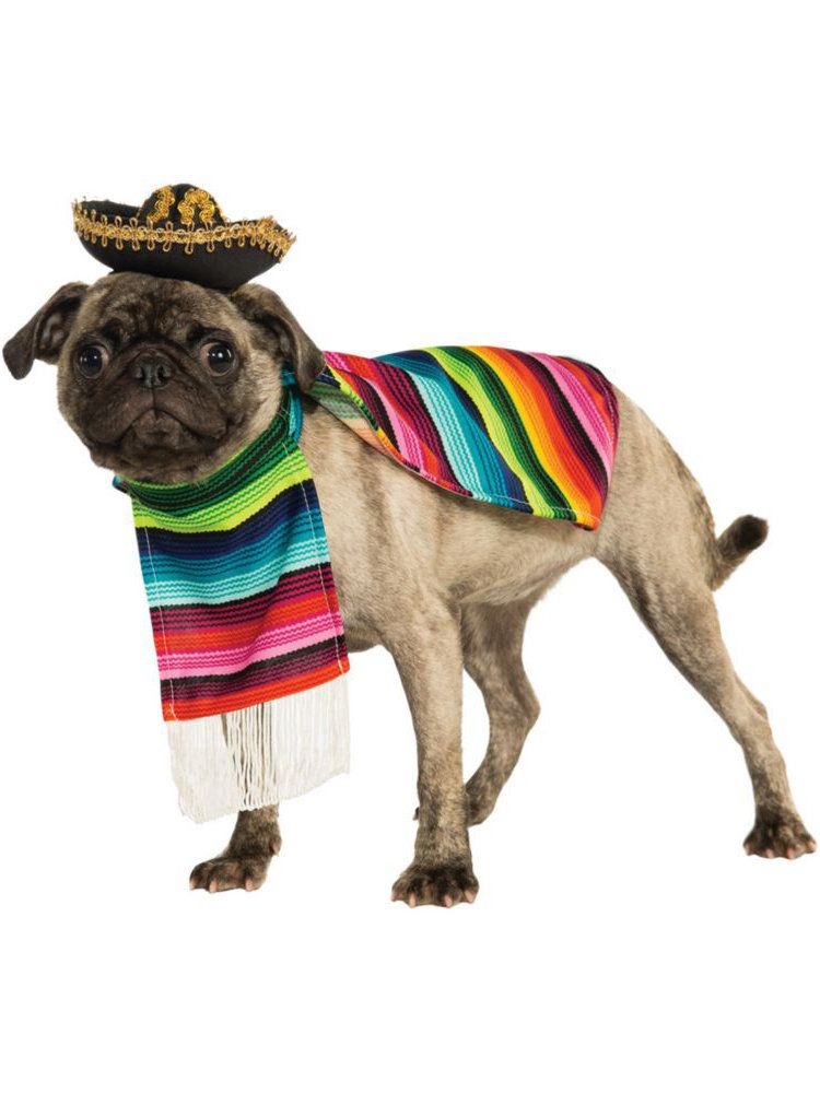 Free Shipping For Fiesta Inspired Serape Pet Costume