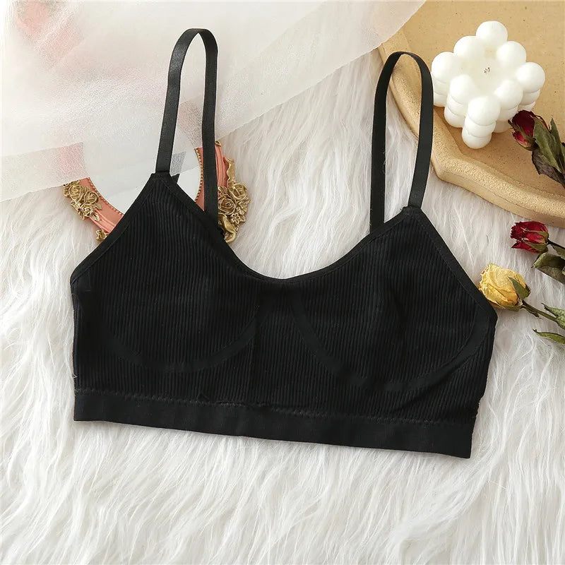 Free Shipping For Seamless Tank Crop Top - Wire-Free Elegant Lingerie Intimates (S-XL)