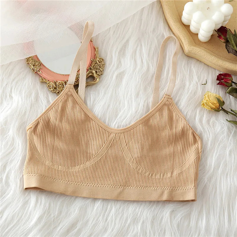 Free Shipping For Seamless Tank Crop Top - Wire-Free Elegant Lingerie Intimates (S-XL)