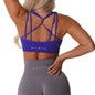 Free Shipping For Galaxy Seamless Sports Bra - Comfort & Support (XS-L)