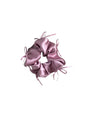 Free Shipping For 'Silky Smooth' Ribbon Core Ballet core Scrunchies