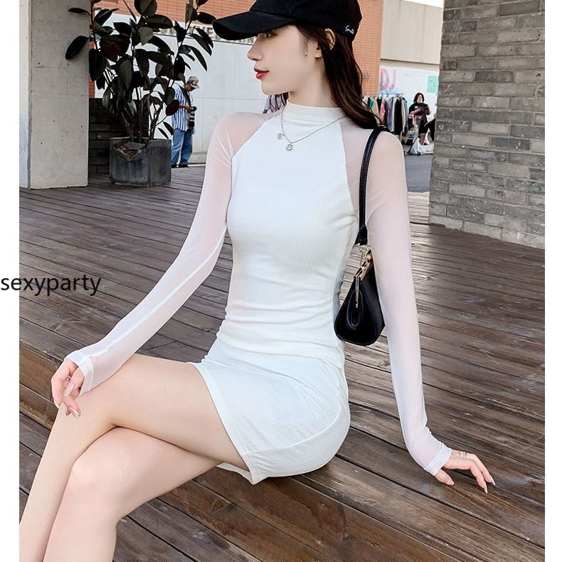 Sexy Mesh Long Sleeved Party Dress