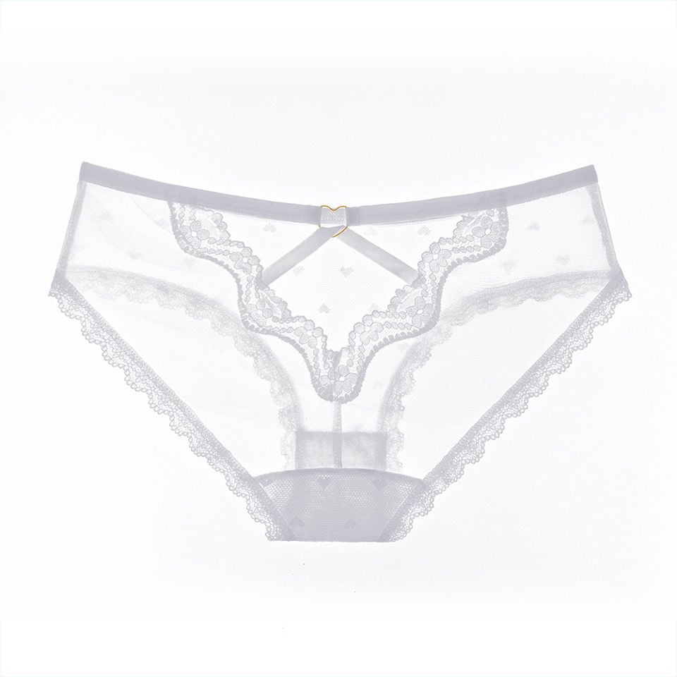 Lace Sexy Hollow Mesh Briefs Perspective Low Waist Pants