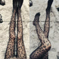 Wild Little Milk Leopard Sexy Transparent Anti-hook Silk Pantyhose Was Thin and Ultra-thin Leggings