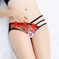 Exquisite embroidery Sexy transparent hollow lady open underwear