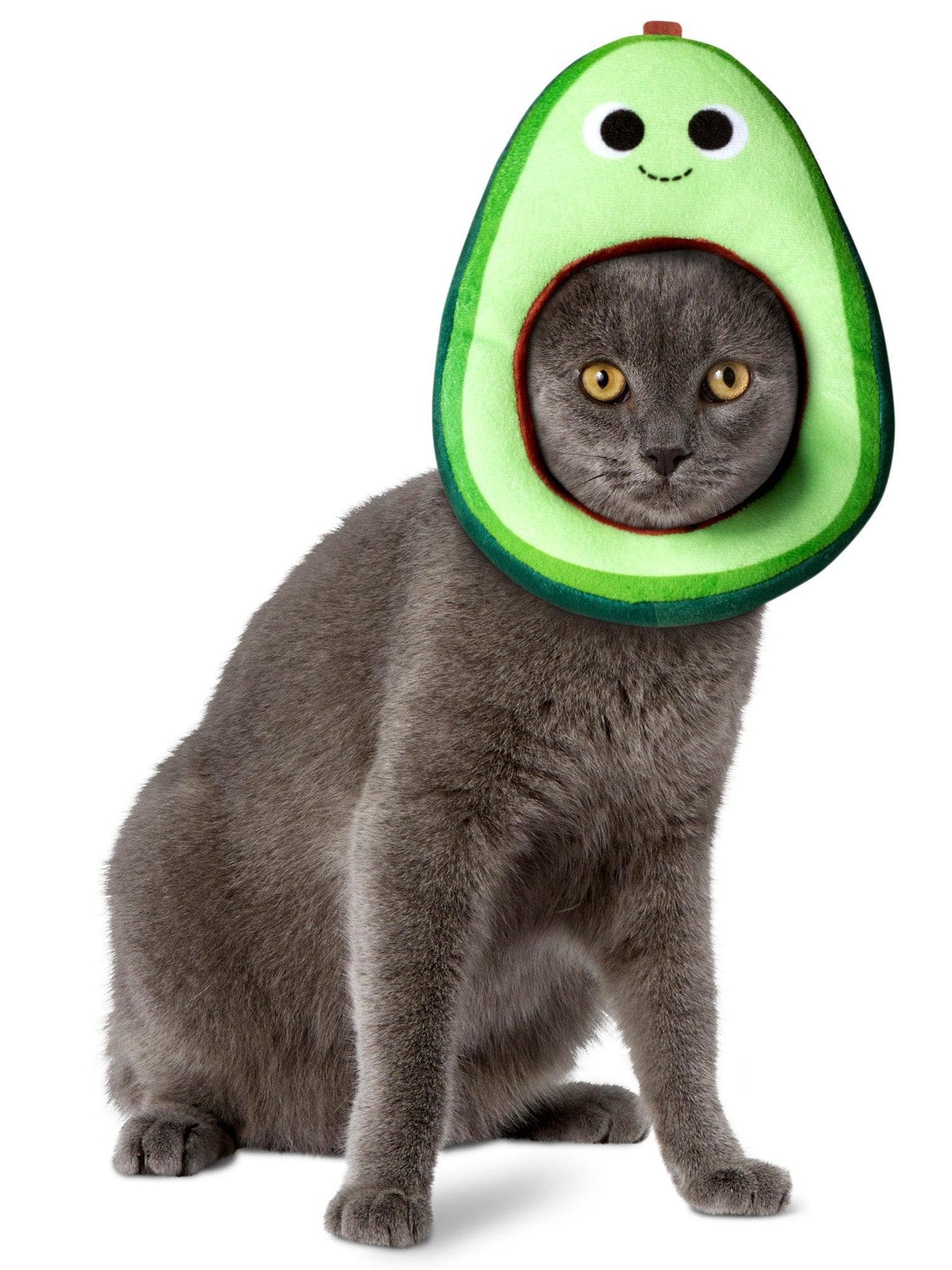 Free Shipping For Yummy World Avocado Pet Headpiece by Kidrobot