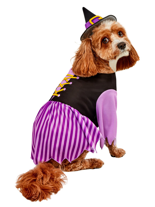 Free Shipping For Purple Witch Pet Costume