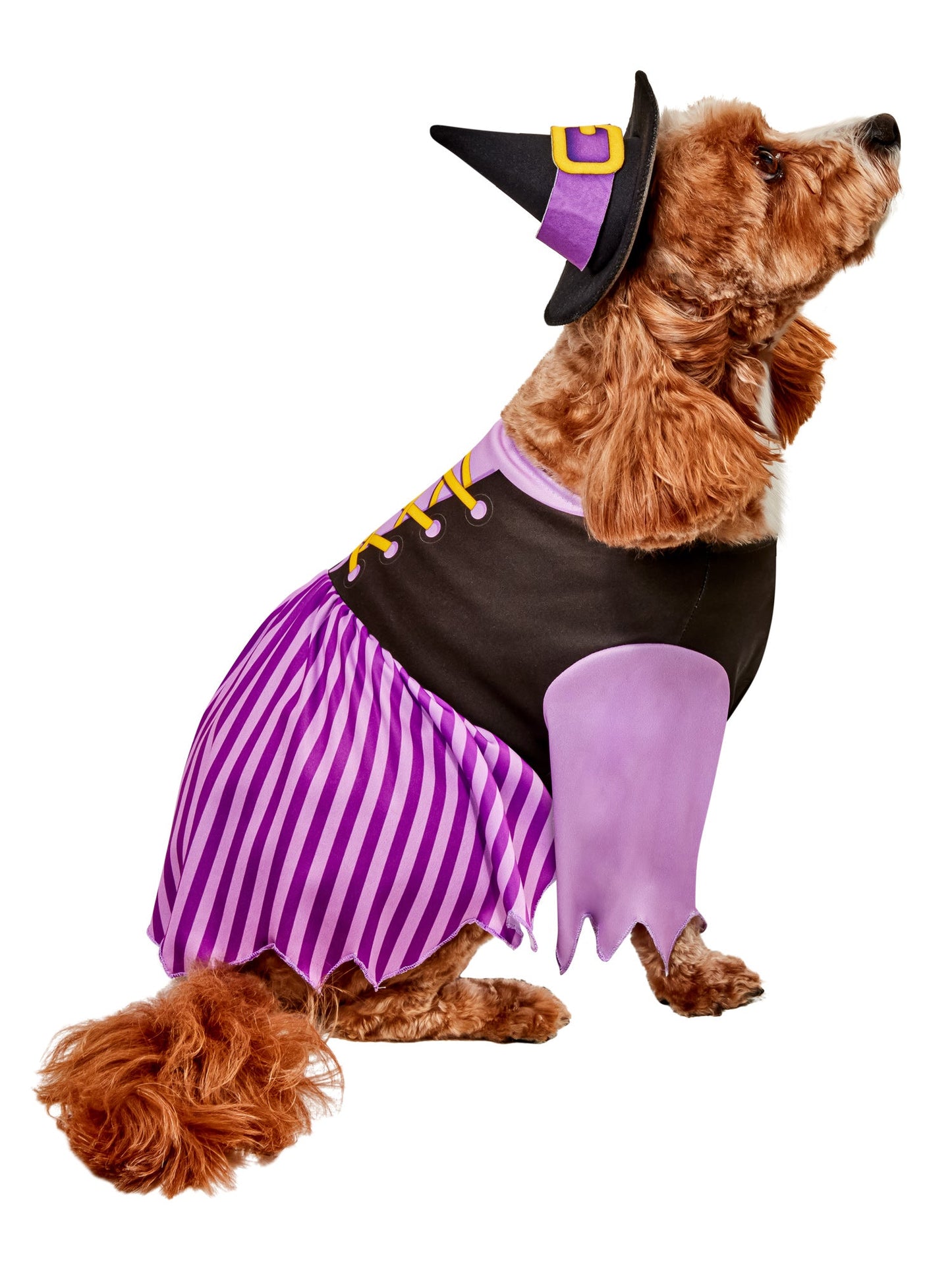 Free Shipping For Purple Witch Pet Costume