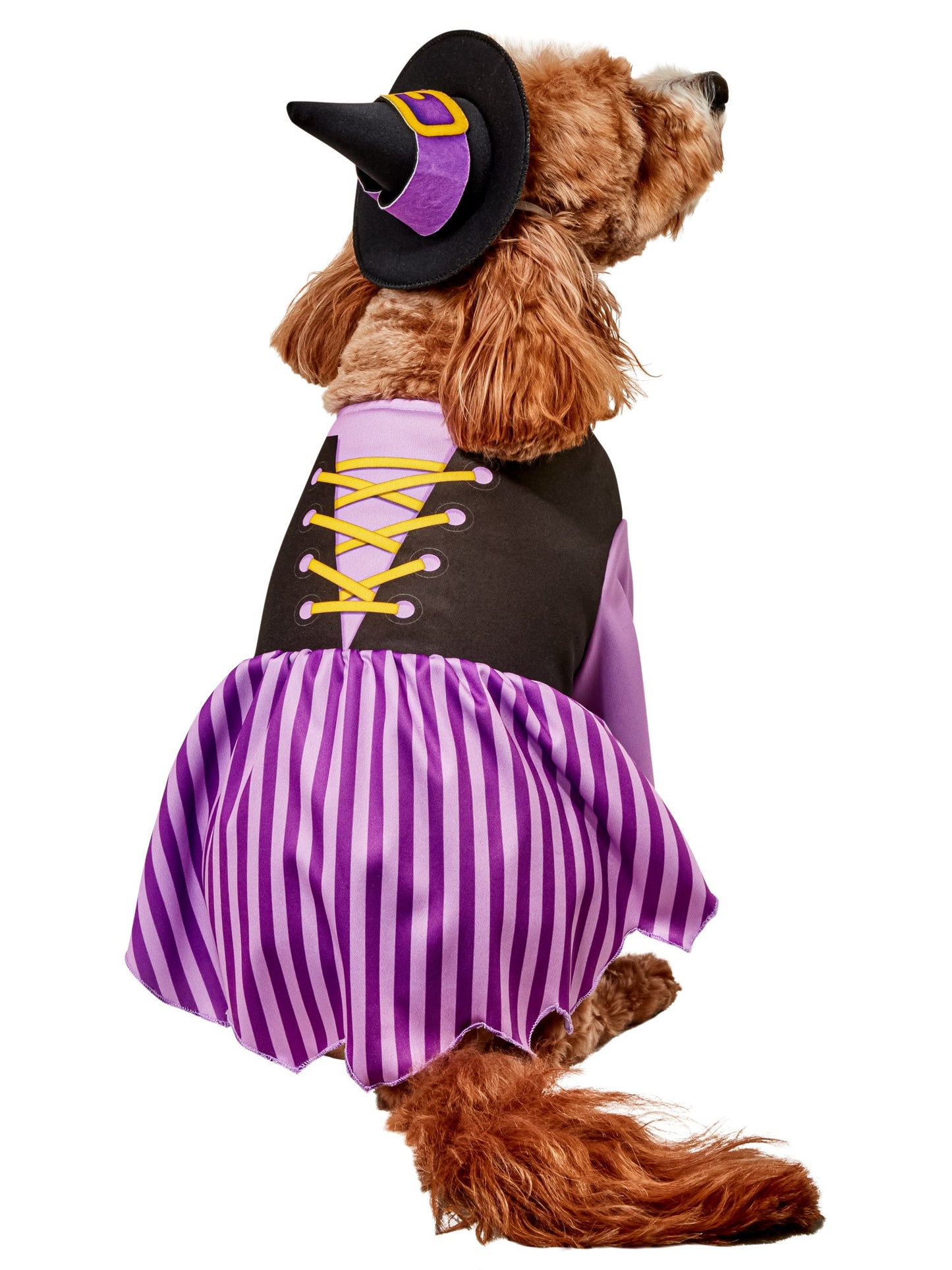 Free Shipping For Purple Witch Pet Costume