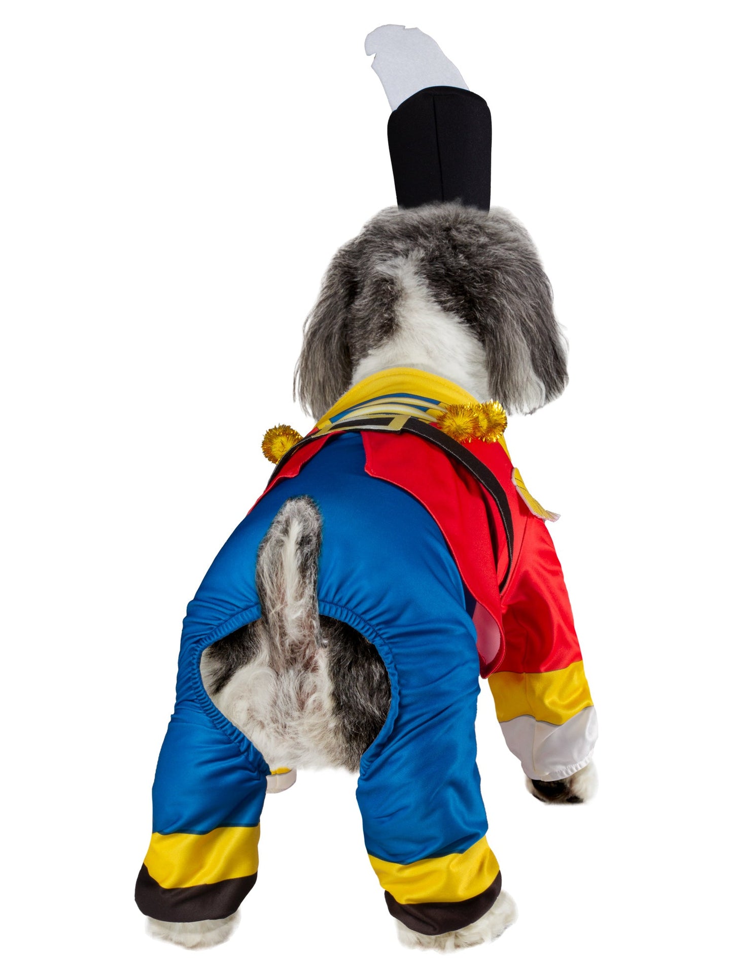 Free Shipping For Holiday Nutcracker Pet Costume