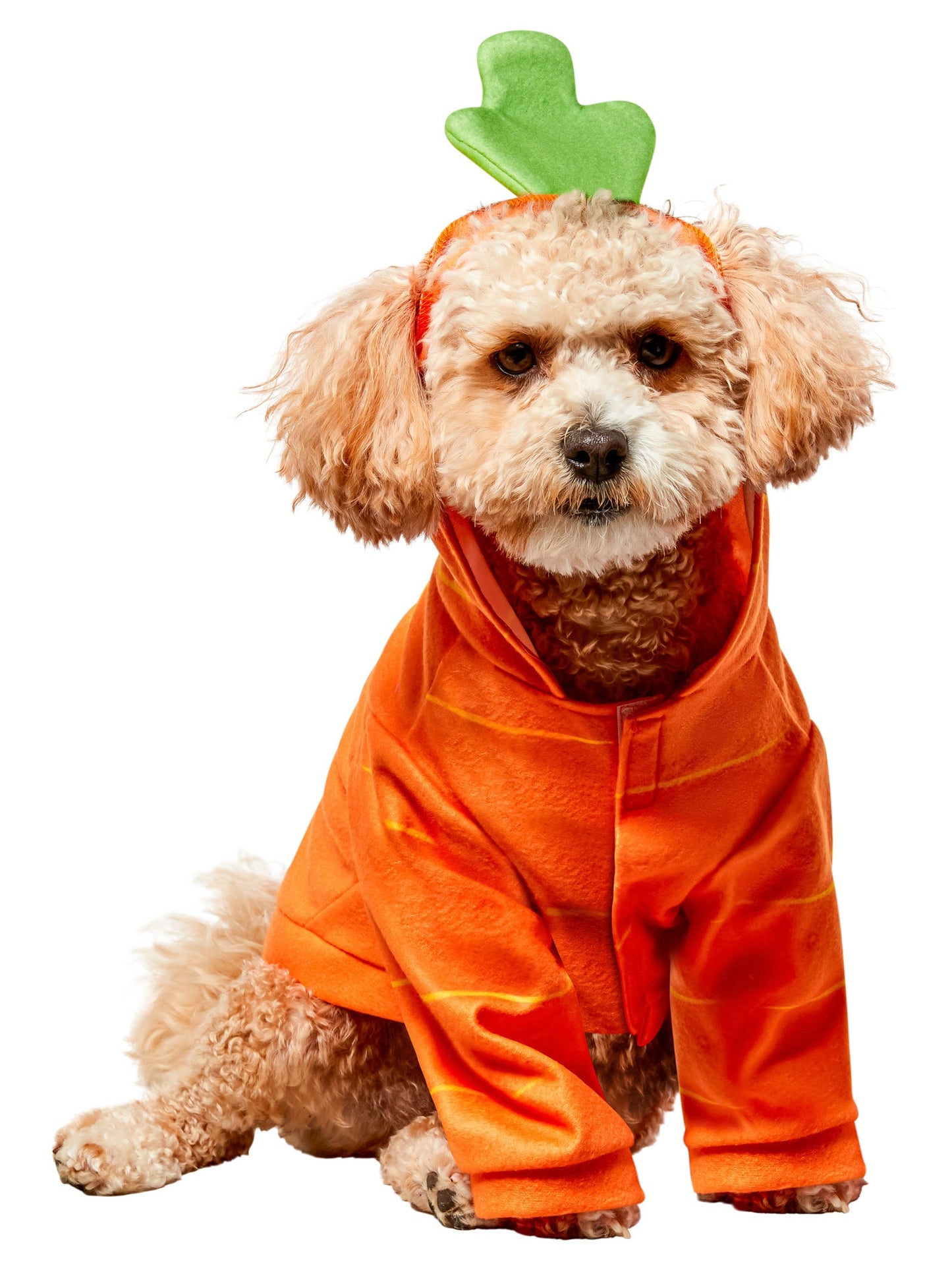 Free Shipping For Carrot Hoodie Pet Costume