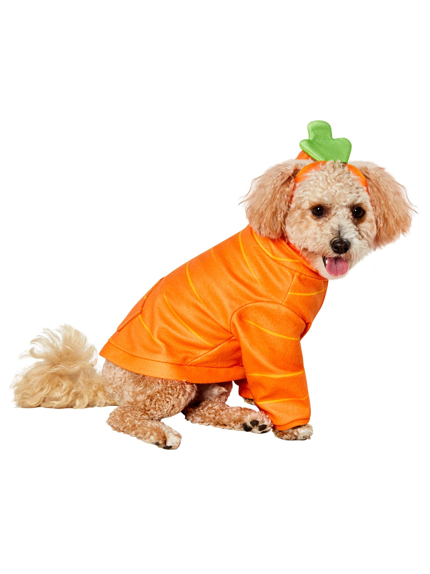 Free Shipping For Carrot Hoodie Pet Costume