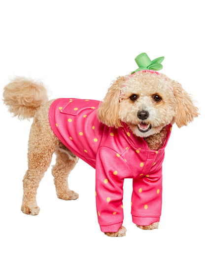 Free Shipping For Sweet Strawberry Hoodie Pet Costume