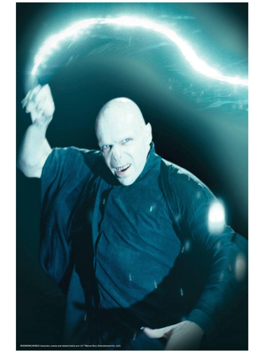 Free Shipping For Harry Potter Voldemort Window Cover Decoration