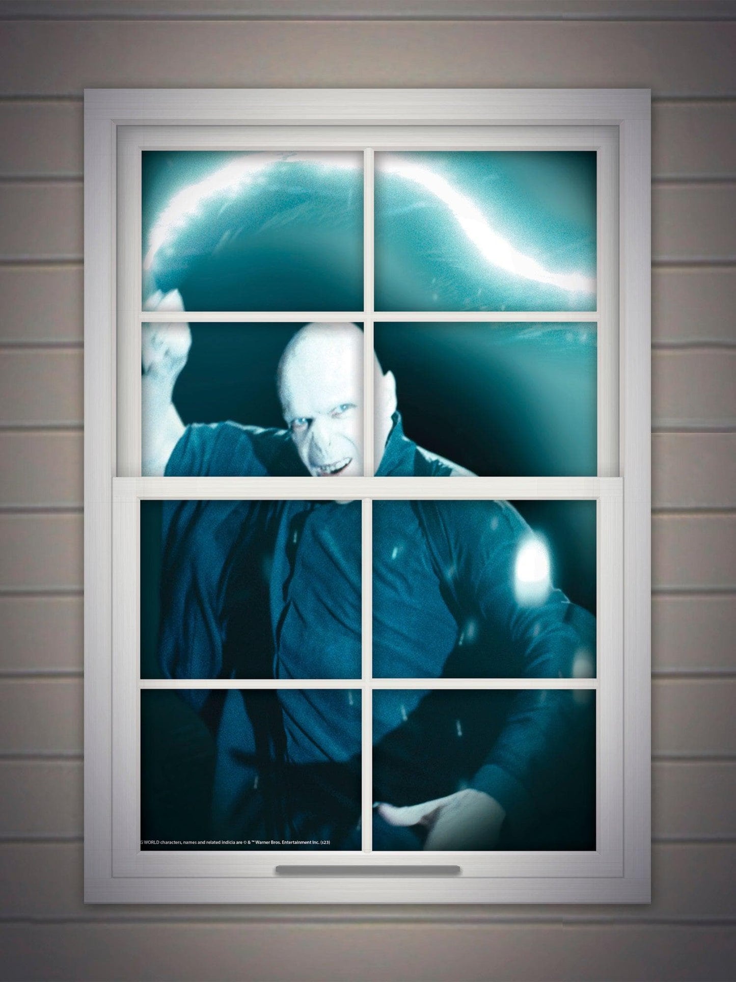 Free Shipping For Harry Potter Voldemort Window Cover Decoration