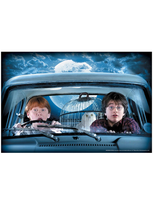 Free Shipping For Harry Potter and Ron Weasley Window Cover Decoration